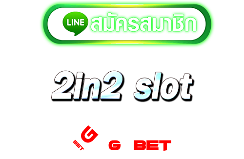 ทางเข้า 2in2 slot