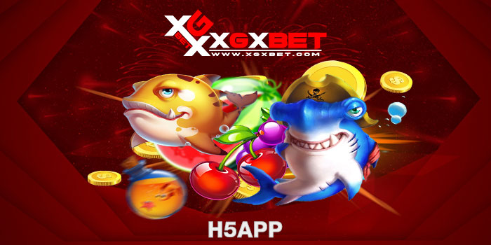h5app