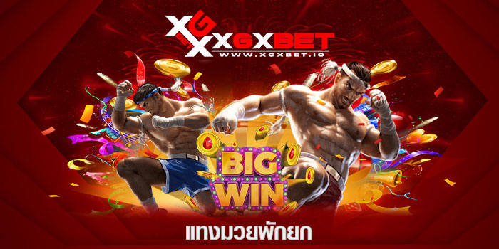 แทงมวยพักยก