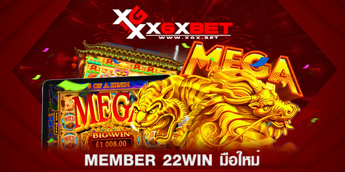Member-22WIN-มือใหม่