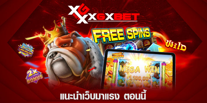 แนะนำเว็บมาแรง ตอนนี้